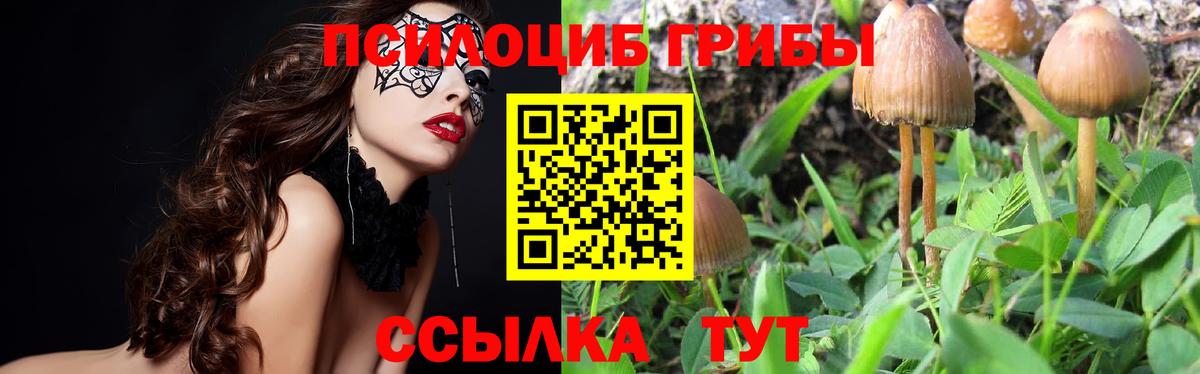 Медногорск  Псилоцибиновые грибы GOLDEN TEACHER  Вход с VPN 